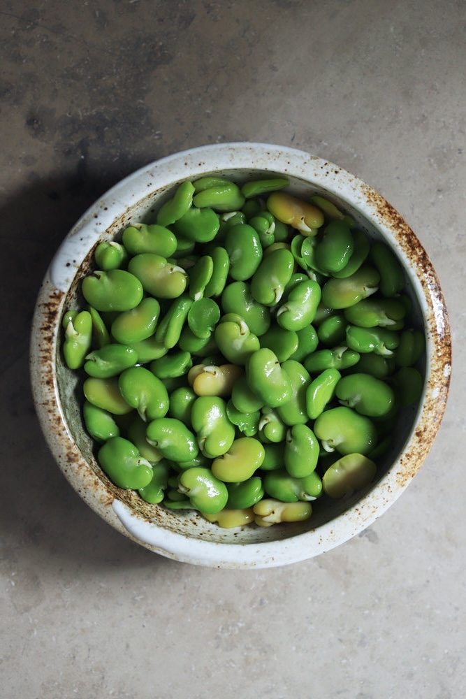 fava beans