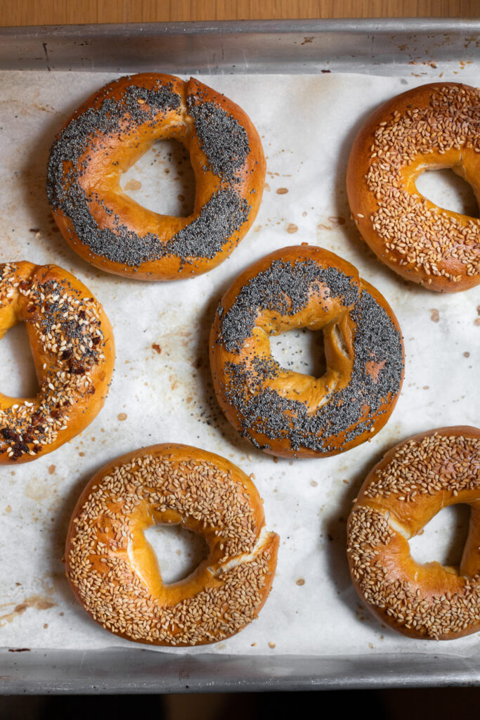 bagels on a sheet pan