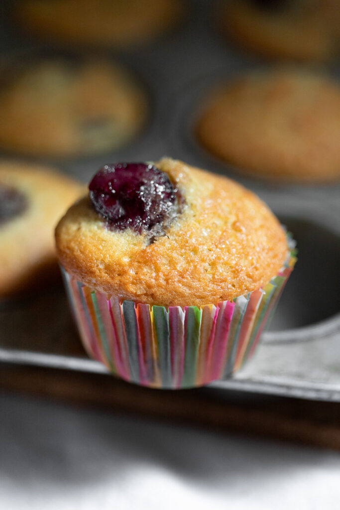 cherry muffins