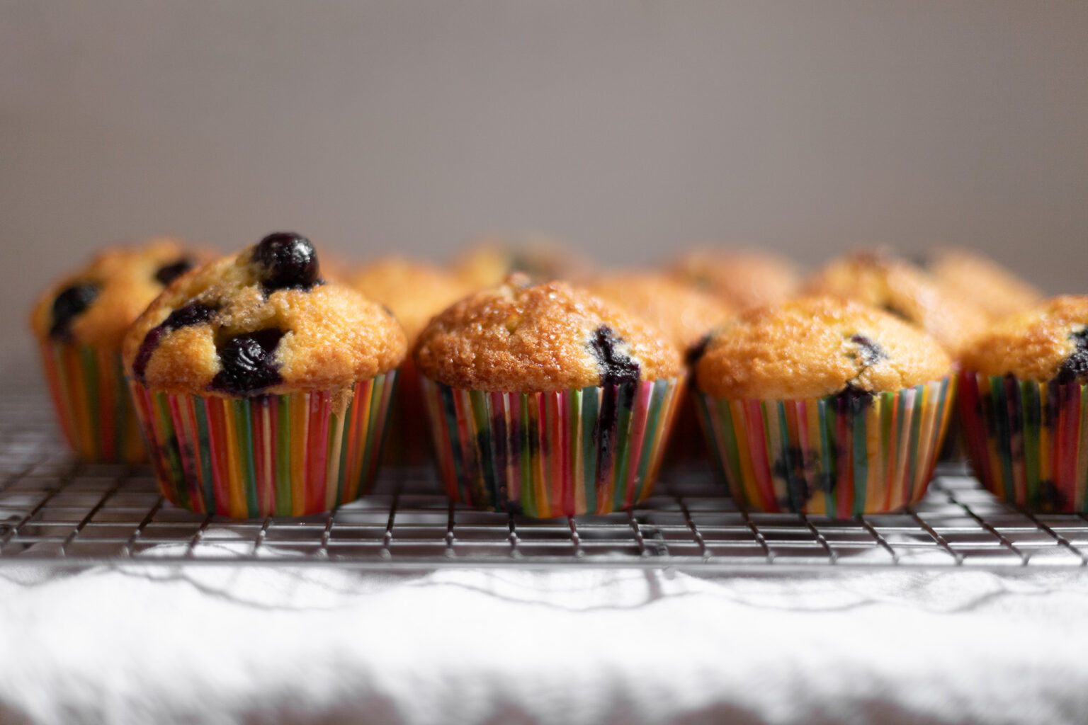 dairy-free blueberry muffins