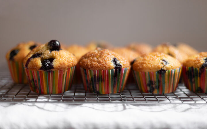 dairy-free blueberry muffins
