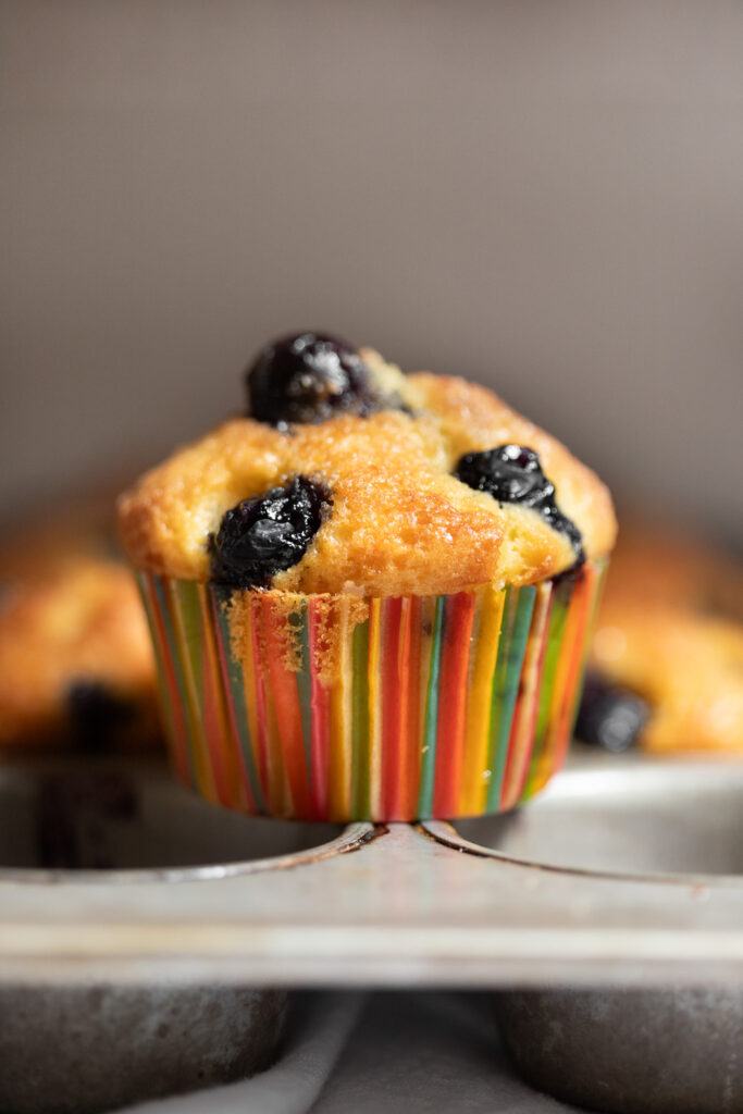dairy-free blueberry muffins